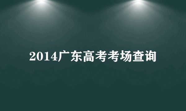 2014广东高考考场查询