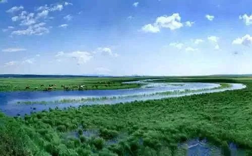 马云捐款1亿保护湿地,湿地的保护措施有哪些?