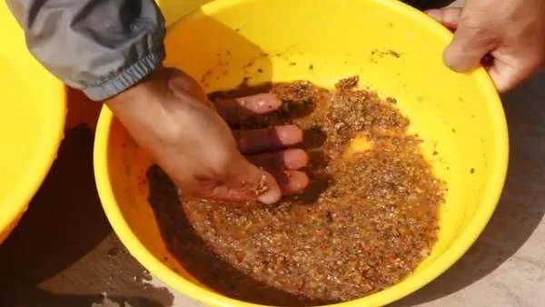 冬季钓鱼关于用饵有什么讲究？