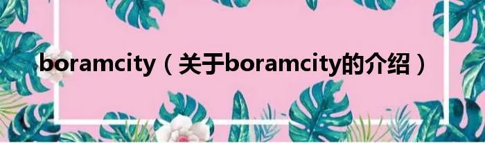 boramcity（关于boramcity的介绍）