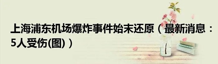上海浦东机场爆炸事件始末还原（最新消息：5人受伤(图)）