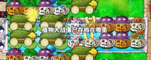 植物大战僵尸存档在哪里