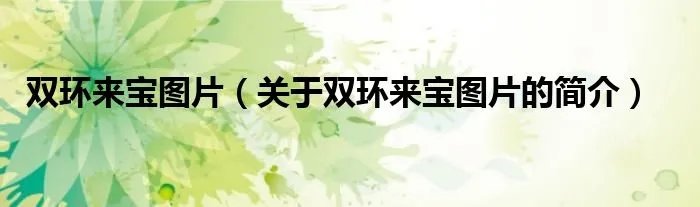 双环来宝图片（关于双环来宝图片的简介）