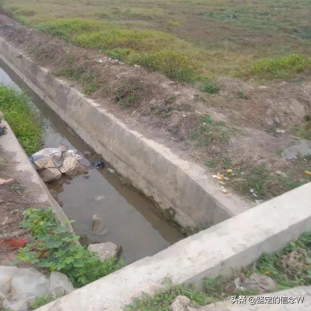 袁隆平称中国不会出现粮荒,你平时更喜欢吃米饭还是馒头?