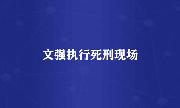 文强执行死刑现场