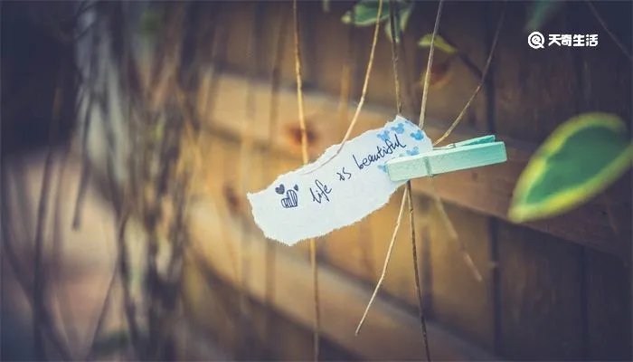 封口夹子怎么用