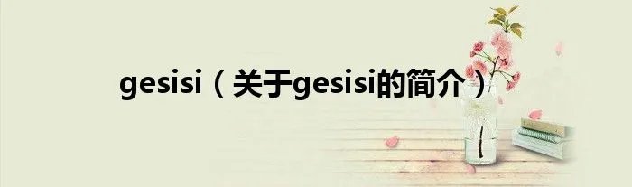 gesisi（关于gesisi的简介）