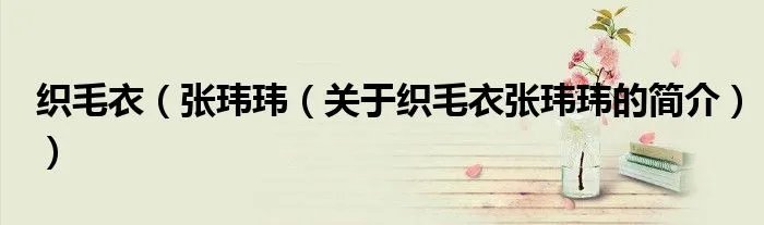 织毛衣（张玮玮（关于织毛衣张玮玮的简介））