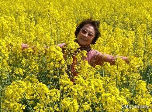 现在70岁左右的人算不算是老年人？