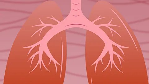 新型冠状病毒核酸检测是什么意思