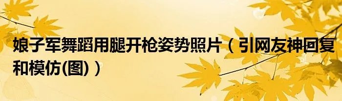 娘子军舞蹈用腿开枪姿势照片(引网友神回复和模仿(图))