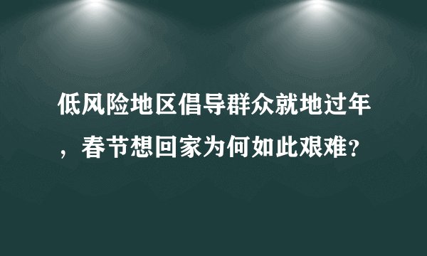 低风险地区倡导群众就地过年，春节想回家为何如此艰难？