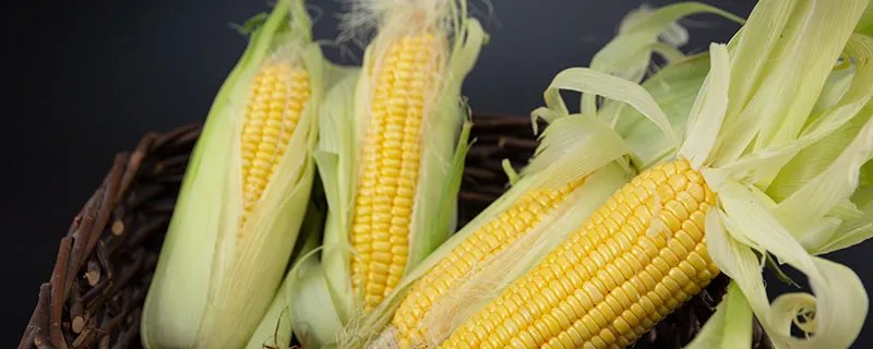 哪个朝代的人能吃到玉米