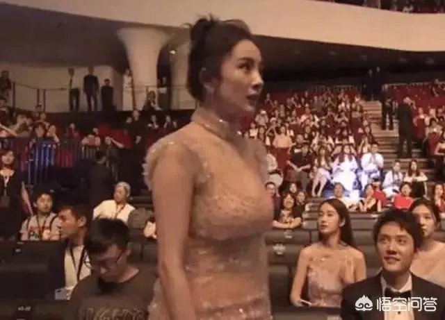 哪些女明星整过容？