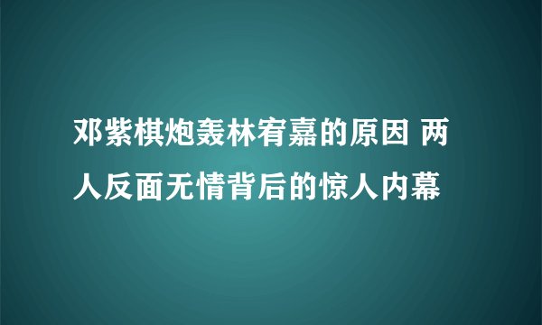 邓紫棋炮轰林宥嘉的原因 两人反面无情背后的惊人内幕