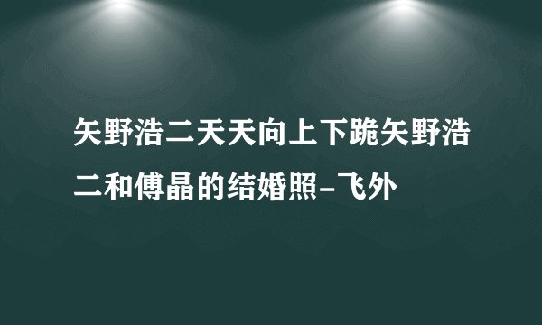 矢野浩二天天向上下跪矢野浩二和傅晶的结婚照-飞外