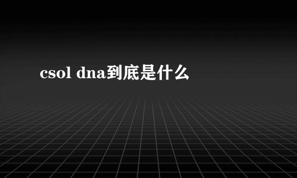 csol dna到底是什么