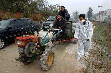 31省新增16例确诊本土13例,另外3例出自哪里?