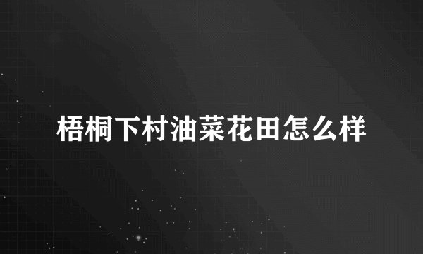 梧桐下村油菜花田怎么样