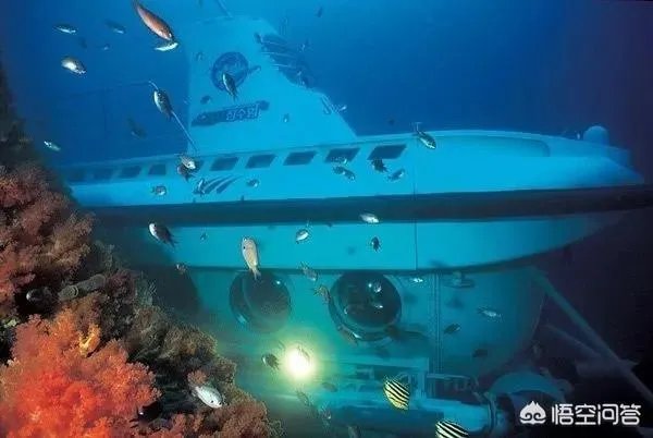 海昌不夜城有哪些项目？有适合全家玩的么？