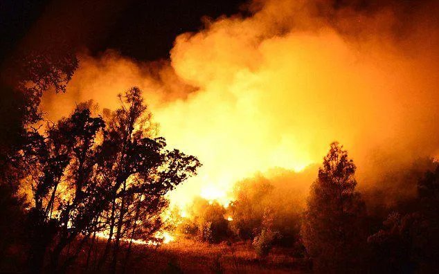 西昌山火为什么会死这么多人?