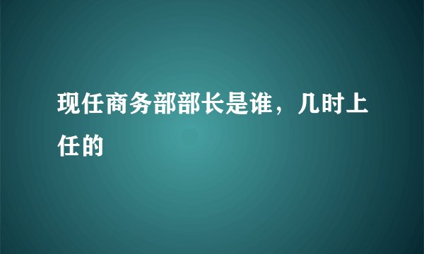 现任商务部部长是谁，几时上任的