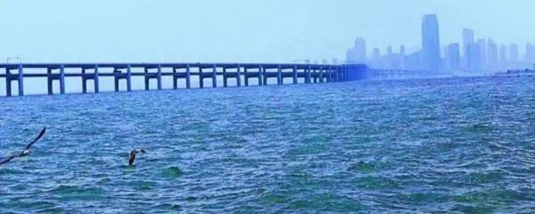 大连新冠肺炎本土确诊清零,是否意味着大连已平安?