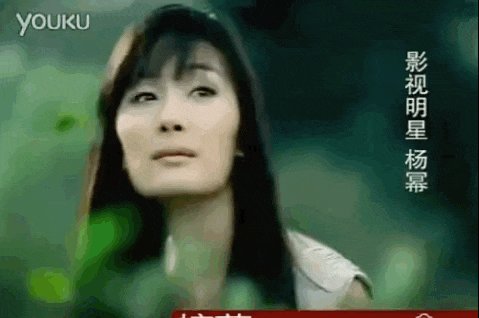 哪些女明星整过容？