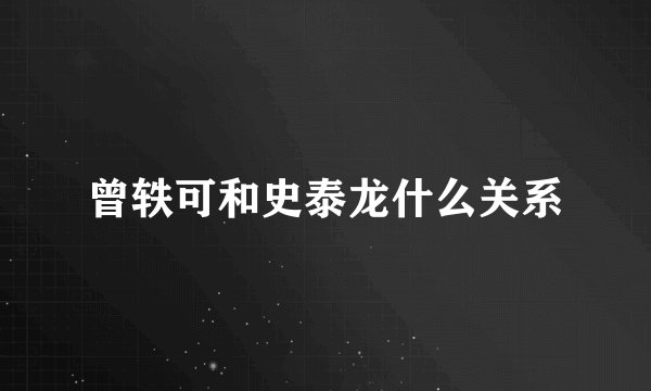 曾轶可和史泰龙什么关系