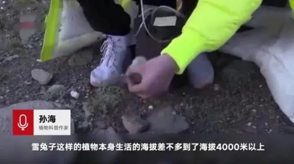 《极限挑战》节目组致歉，说了什么？