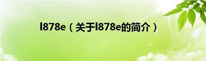 l878e（关于l878e的简介）