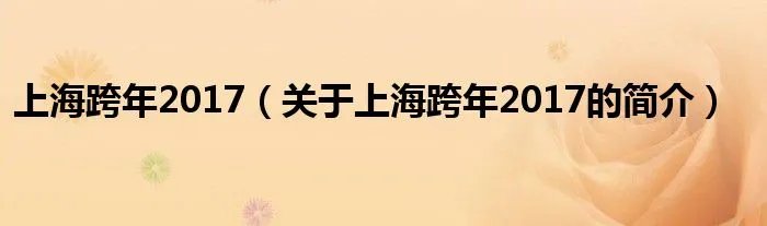 上海跨年2017（关于上海跨年2017的简介）