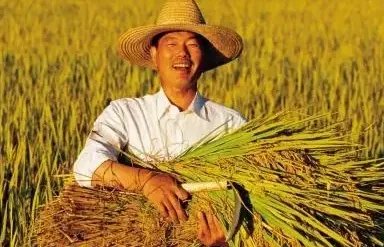 中央向实际种粮农民发100亿元补贴，这有哪些实际意义？