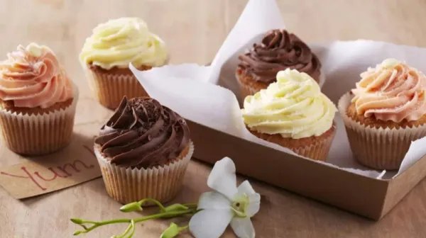 if520是什么意思