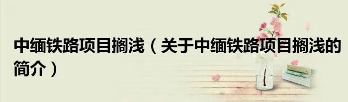 中缅铁路项目搁浅（关于中缅铁路项目搁浅的简介）