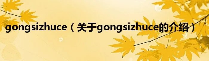 gongsizhuce（关于gongsizhuce的介绍）