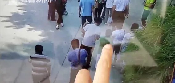 游客为何捡石砸大熊猫?