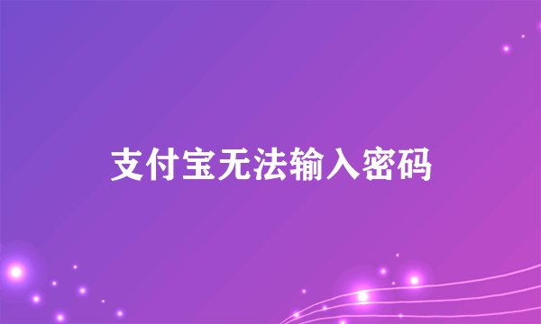 支付宝无法输入密码