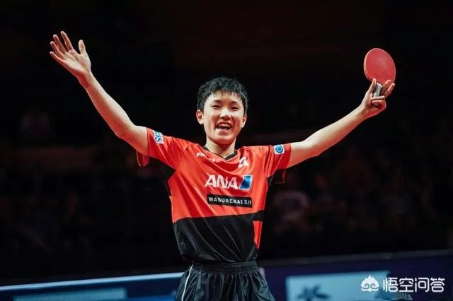 樊振东输张本智和