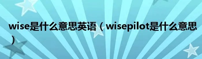 wise是什么意思英语（wisepilot是什么意思）