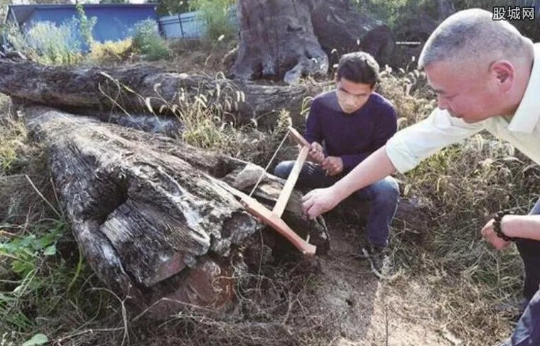 男子发现明代沉木 知道这根木价值连城后竟这样做
