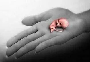 大学生打胎的多不多？