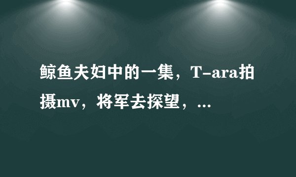鲸鱼夫妇中的一集，T-ara拍摄mv，将军去探望，出来后还说一大早从ktv里出来