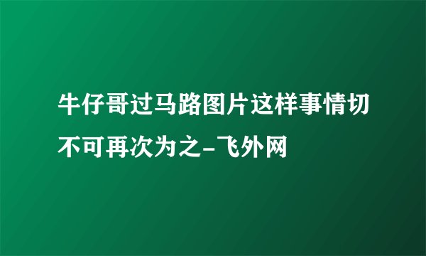 牛仔哥过马路图片这样事情切不可再次为之-飞外网