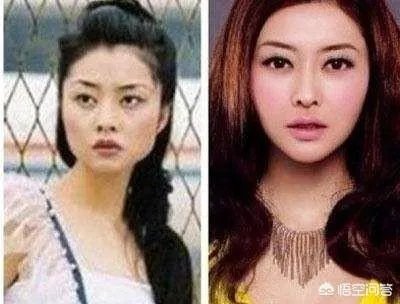 哪些女明星整过容？