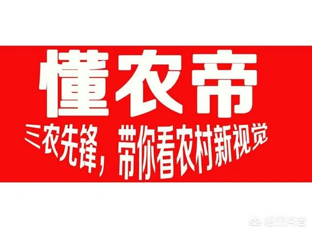 养殖业什么前景最好？