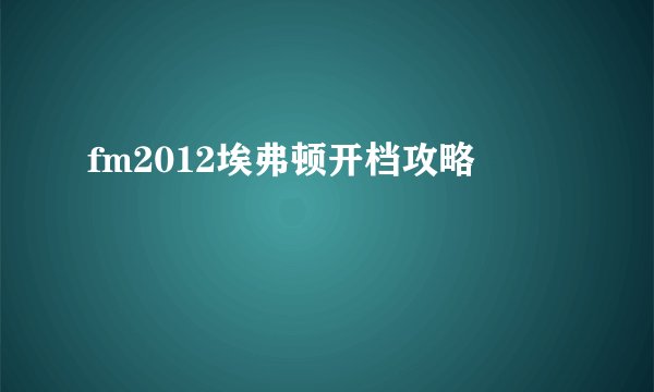 fm2012埃弗顿开档攻略