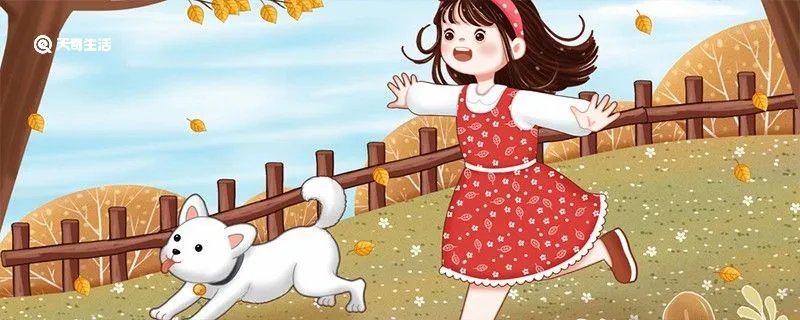 狗狗打架时为何是上嘴咬不是上手挠,狗狗打架怎么制止