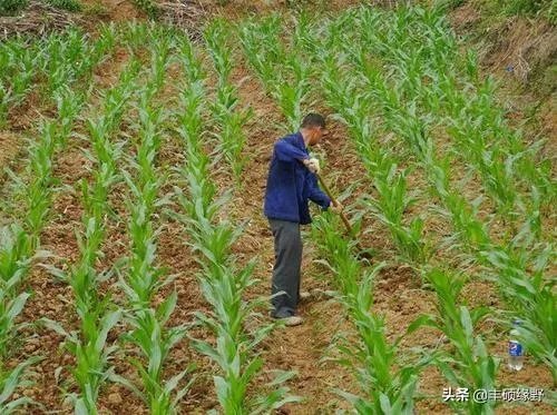 现在70岁左右的人算不算是老年人？
