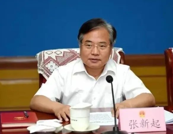 “种树市长”张新起落马，他涉嫌哪些罪名？